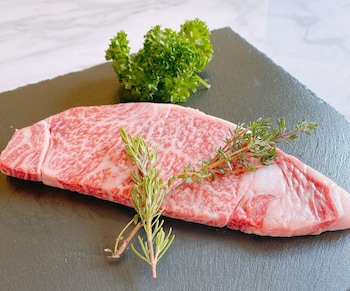 vision glamping resort lake yamanaka