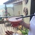 paraipaba