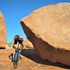 aus