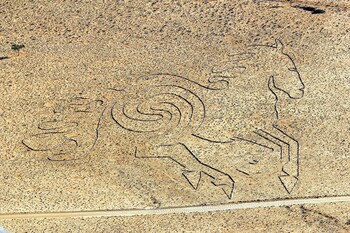 klein aus vista desert horse inn