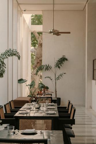 hotel sureno yucatan