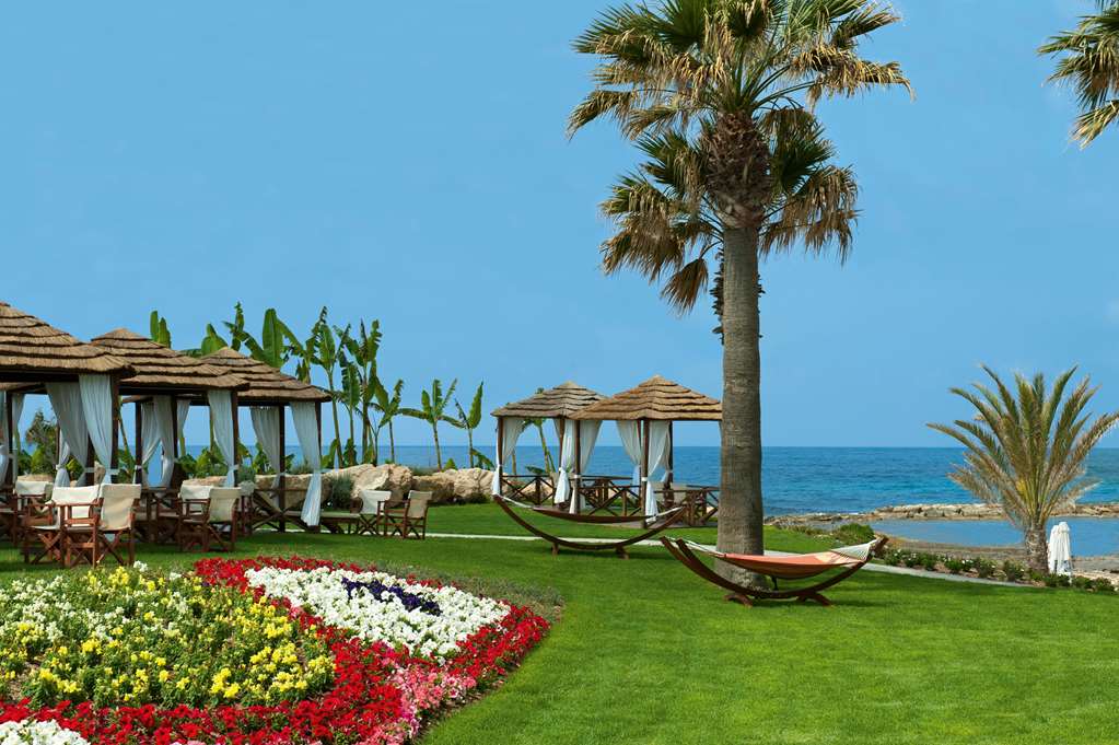 constantinou bros pioneer beach hotel
