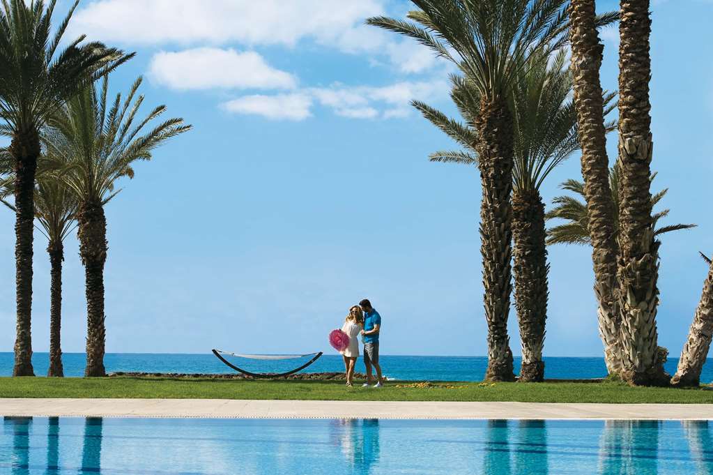constantinou bros pioneer beach hotel
