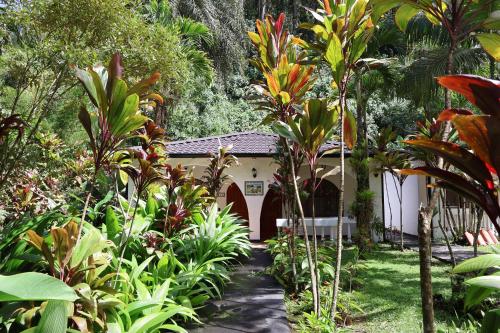 Rio Perlas Thermal Resort & Spa,Near Lankester Botanical Garden,5 star