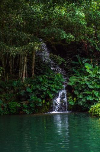 rio perlas thermal resort and spa