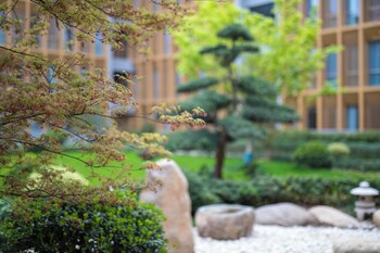 nbicc wonderland hotel