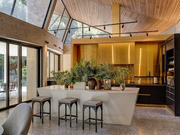 future found sanctuary