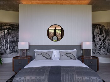 future found sanctuary