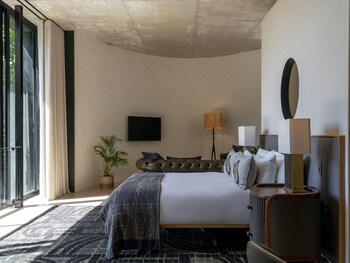 future found sanctuary