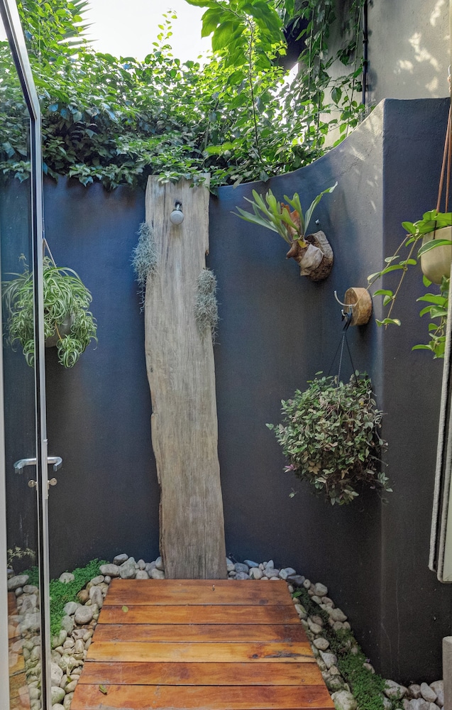 future found sanctuary