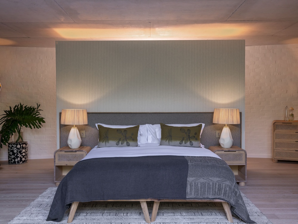 future found sanctuary