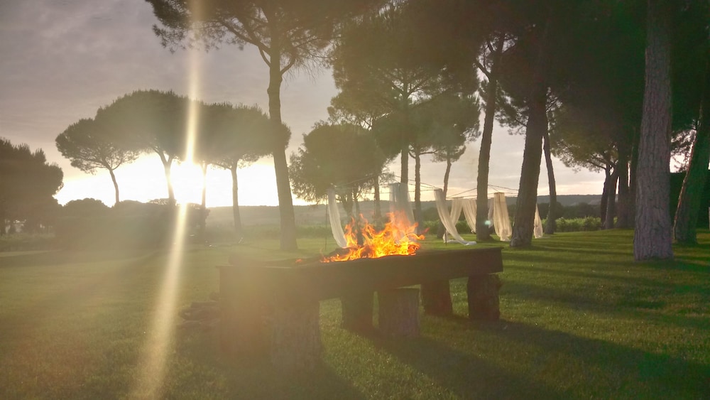 quintanilla de onesimo