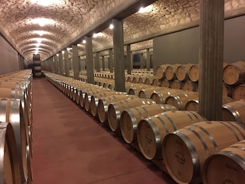 quintanilla de onesimo