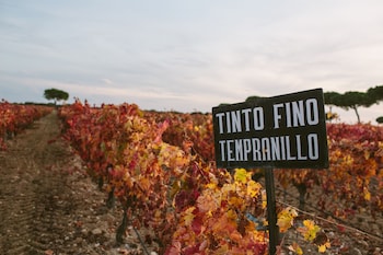 quintanilla de onesimo