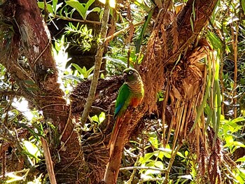 suite privativa em jardim1km do capivari