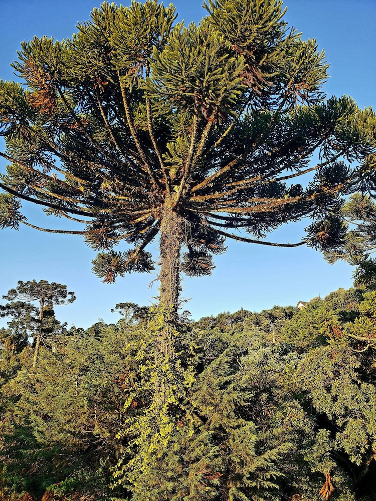 suite privativa em jardim1km do capivari