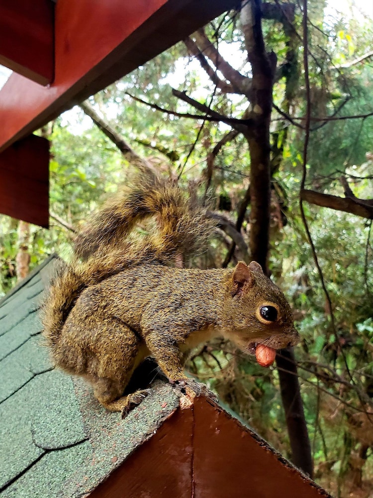 suite privativa em jardim1km do capivari
