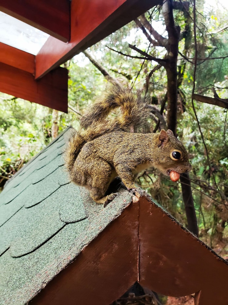 suite privativa em jardim1km do capivari