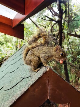 suite privativa em jardim1km do capivari