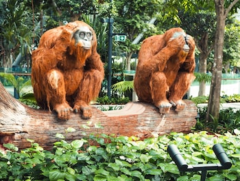 crowne plaza changi airport by ihg