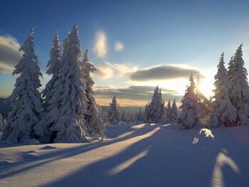 cihlarka mountain view apartment