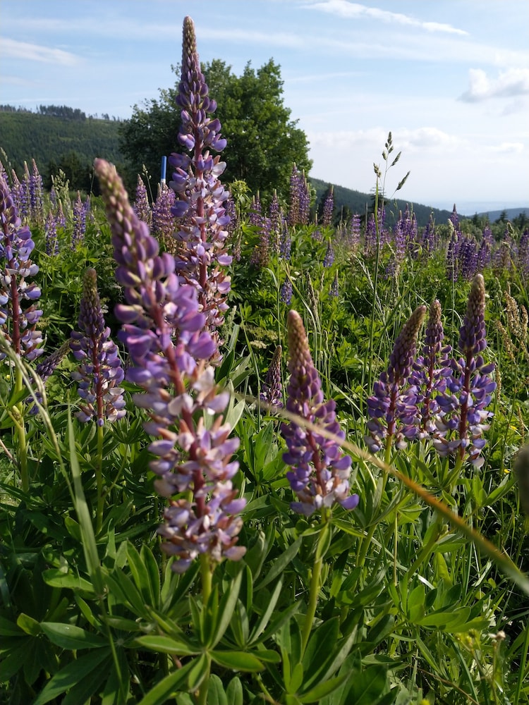 cihlarka mountain view apartment