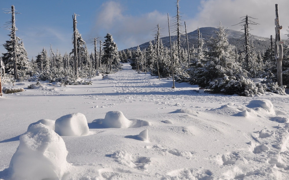 cihlarka mountain view apartment