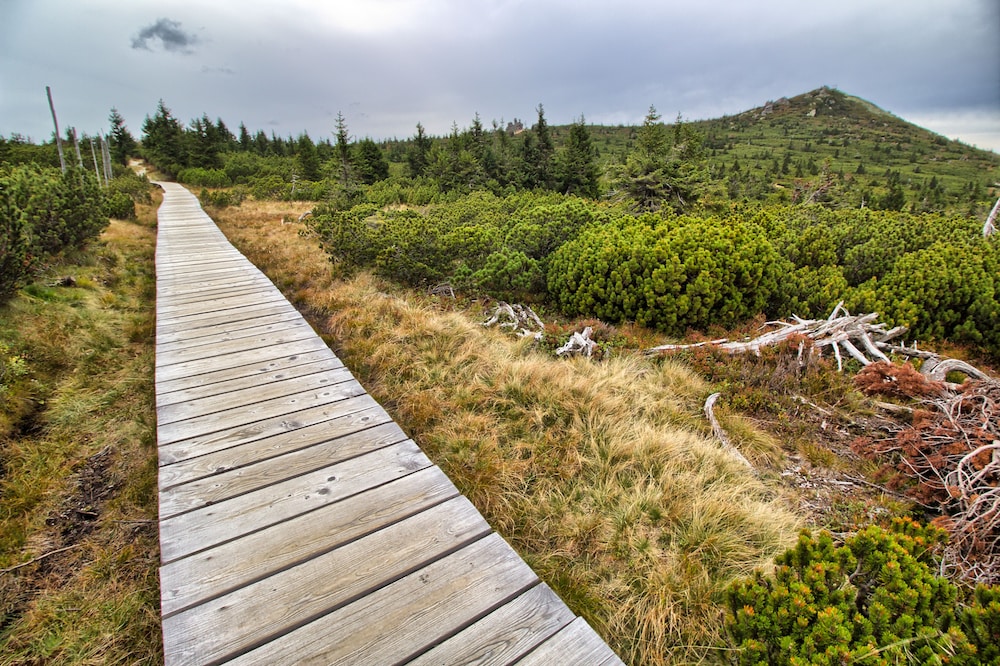 cihlarka mountain view apartment