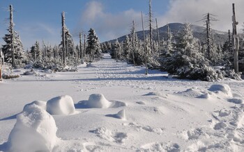 cihlarka mountain view apartment