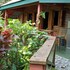 roseau