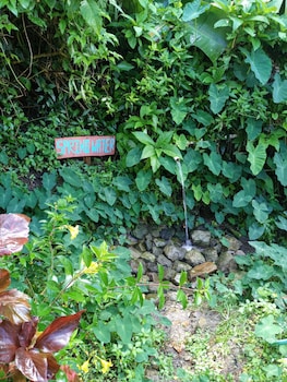 berkeys jungle paradise