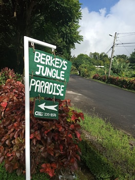 berkeys jungle paradise