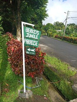 berkeys jungle paradise