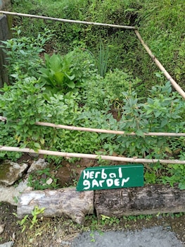 berkeys jungle paradise