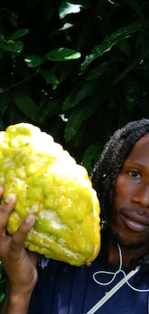 berkeys jungle paradise