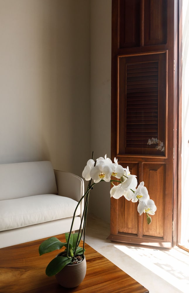 las lupitas hotel boutique