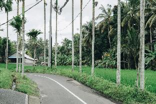 3 beagles ubud