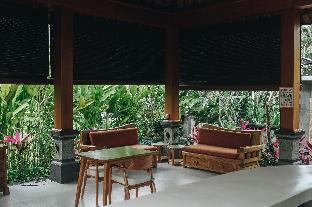 3 beagles ubud