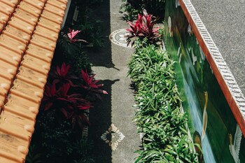 3 beagles ubud