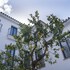 mijas