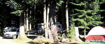 3 rivers resort and guide service