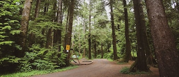 3 rivers resort and guide service