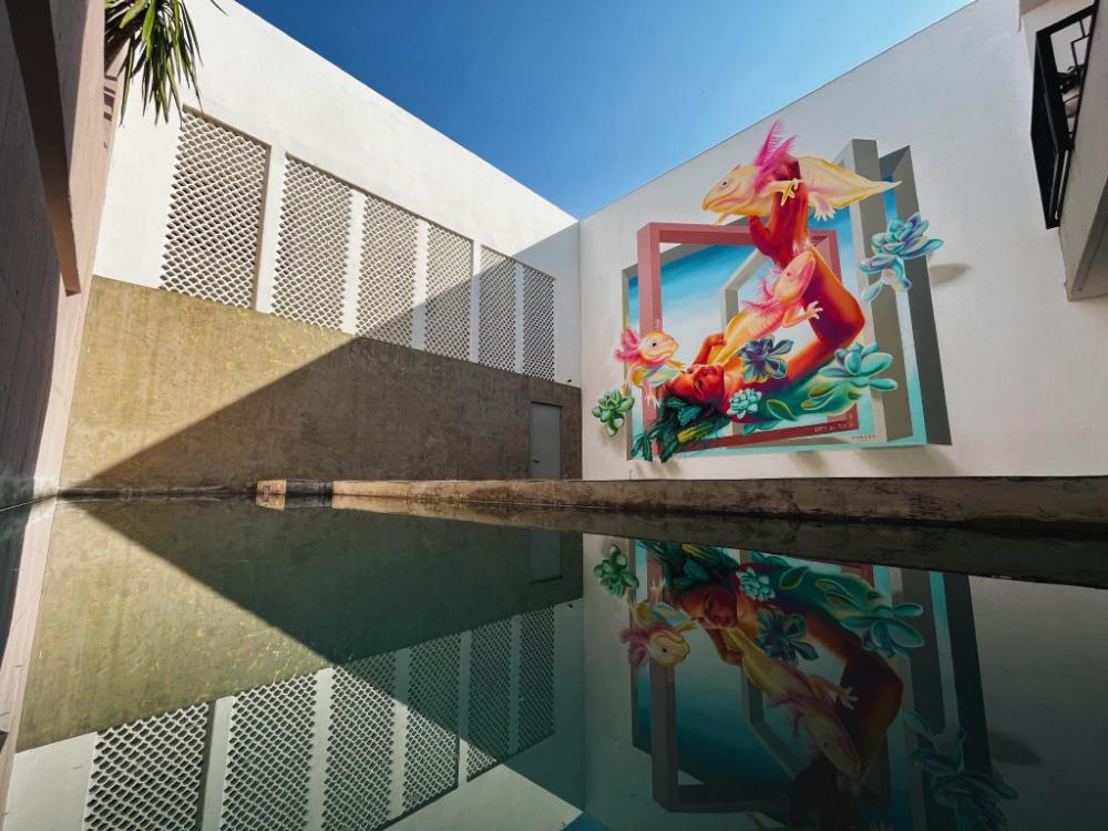 casa oxa hotel