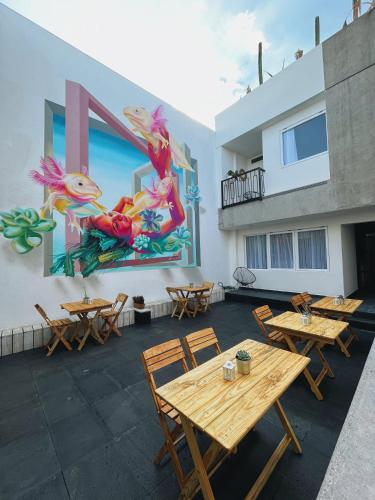 casa oxa hotel