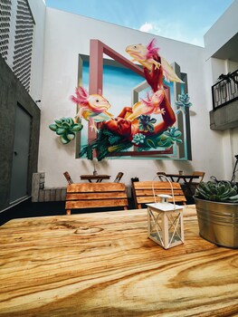 casa oxa hotel
