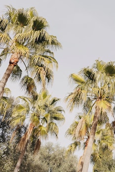 finca serena mallorca small luxury hotels