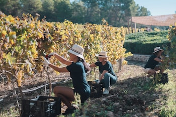 finca serena mallorca small luxury hotels