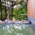 ks house nikko kinugawa onsen hostel