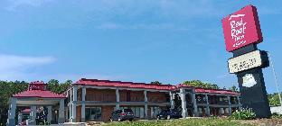 red roof inn and suites scottsboro