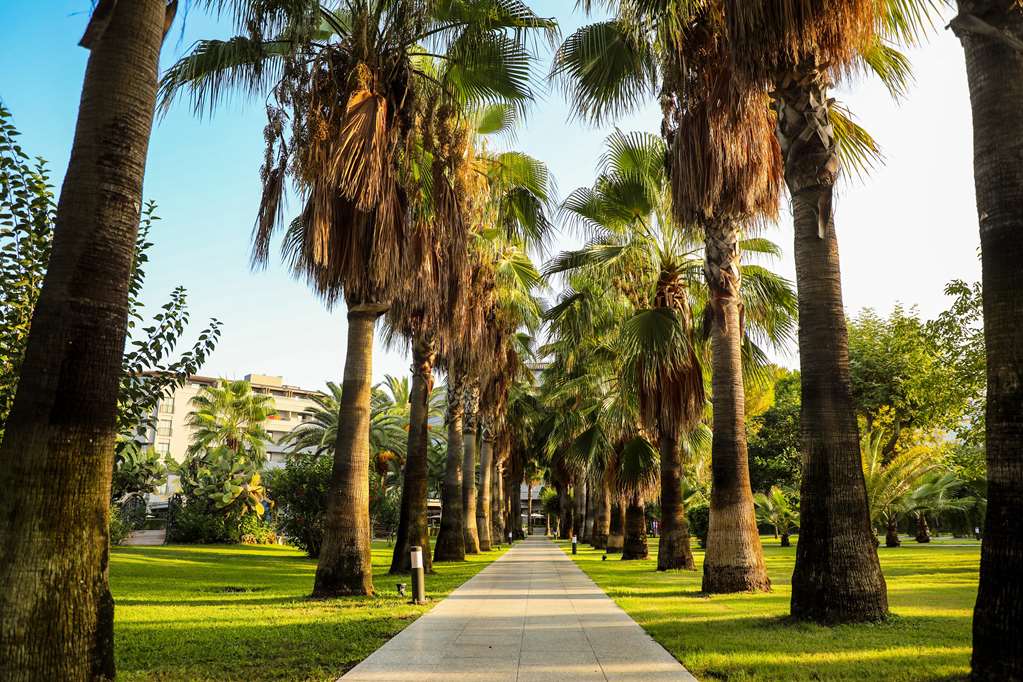 miramare beach hotel